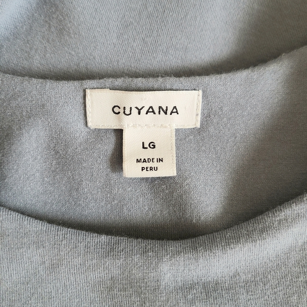 Cuyana Asymmetrical Blue Overlay Dress - Picture 12 of 12